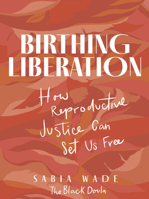 cover image of Birthing Liberation